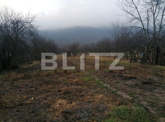 Casa de vânzare 3 camere Exterior Nord - 106844CV | BLITZ Alba Iulia | Poza2