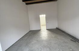 Hală pentru multiple activitati, Alba Iulia, iesire sud A10