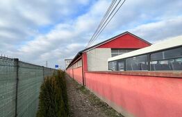 Hală pentru multiple activitati, Alba Iulia, iesire sud A10