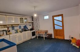 Casa individuala D+P+E cu 4 camere, 2 bucatarii, 3 bai, terasa, teren 1400 mp, zona Micesti