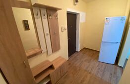 Apartament 2 camere 45 mp - Zona Cetate