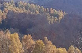 Teren partial intravilan 7 ha in Muntii Apuseni com. Sohodol