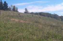 Teren partial intravilan 7 ha in Muntii Apuseni com. Sohodol