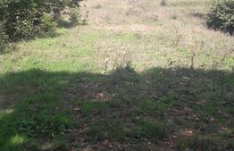 Teren partial intravilan 7 ha in Muntii Apuseni com. Sohodol