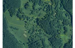 Teren partial intravilan 7 ha in Muntii Apuseni com. Sohodol