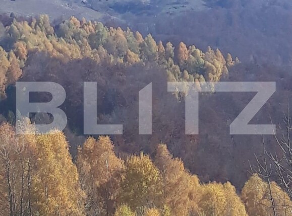 Teren de vânzare Exterior Nord - 107410TV | BLITZ Alba Iulia | Poza2