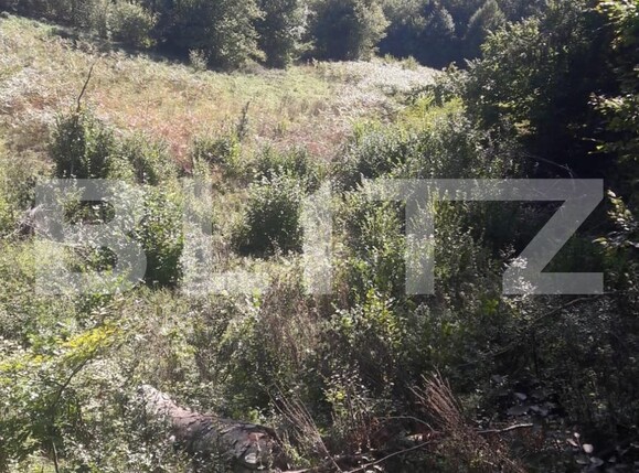 Teren de vânzare Exterior Nord - 107410TV | BLITZ Alba Iulia | Poza5