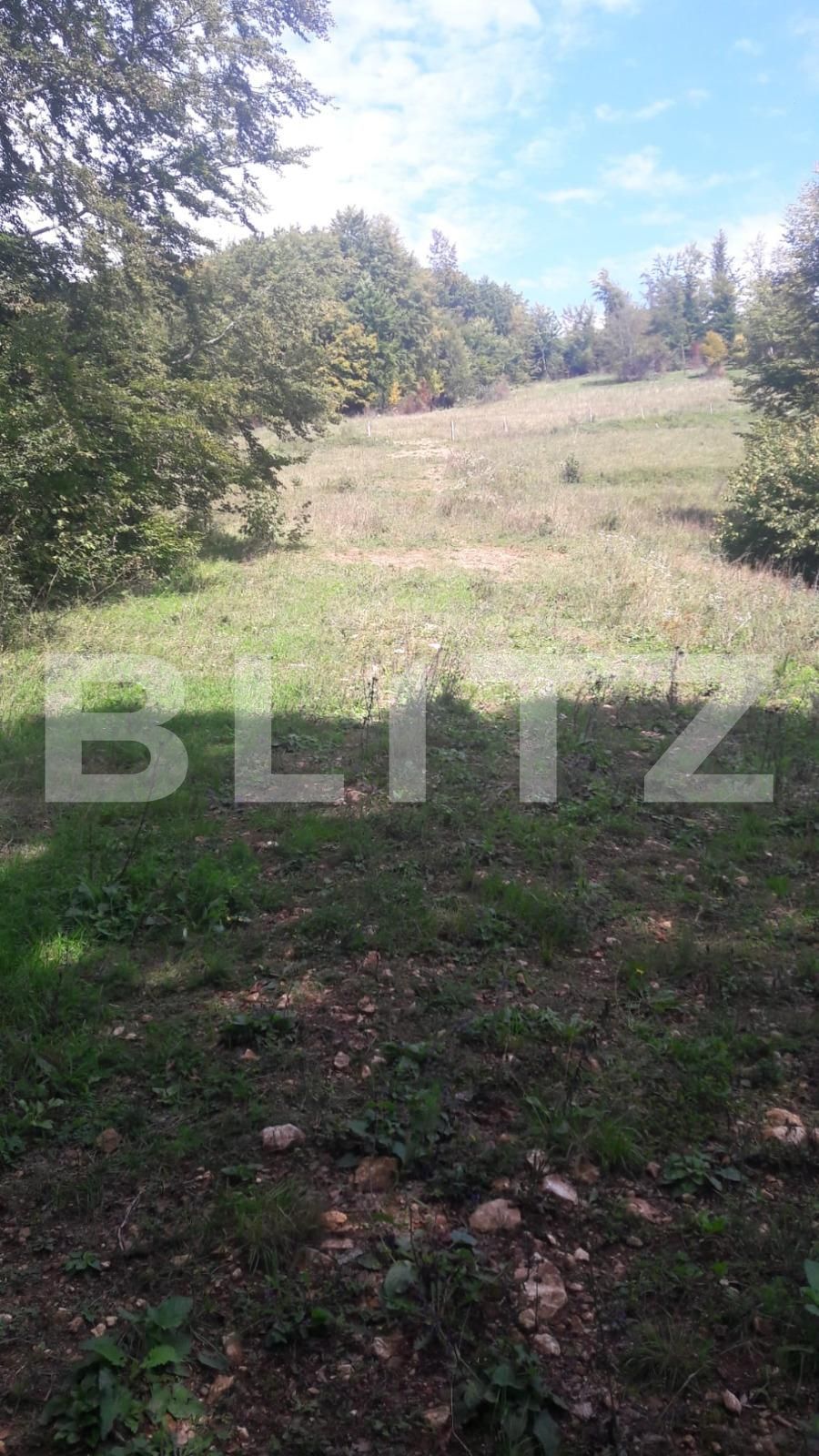 Teren de vânzare Exterior Nord - 107410TV | BLITZ Alba Iulia | Poza3