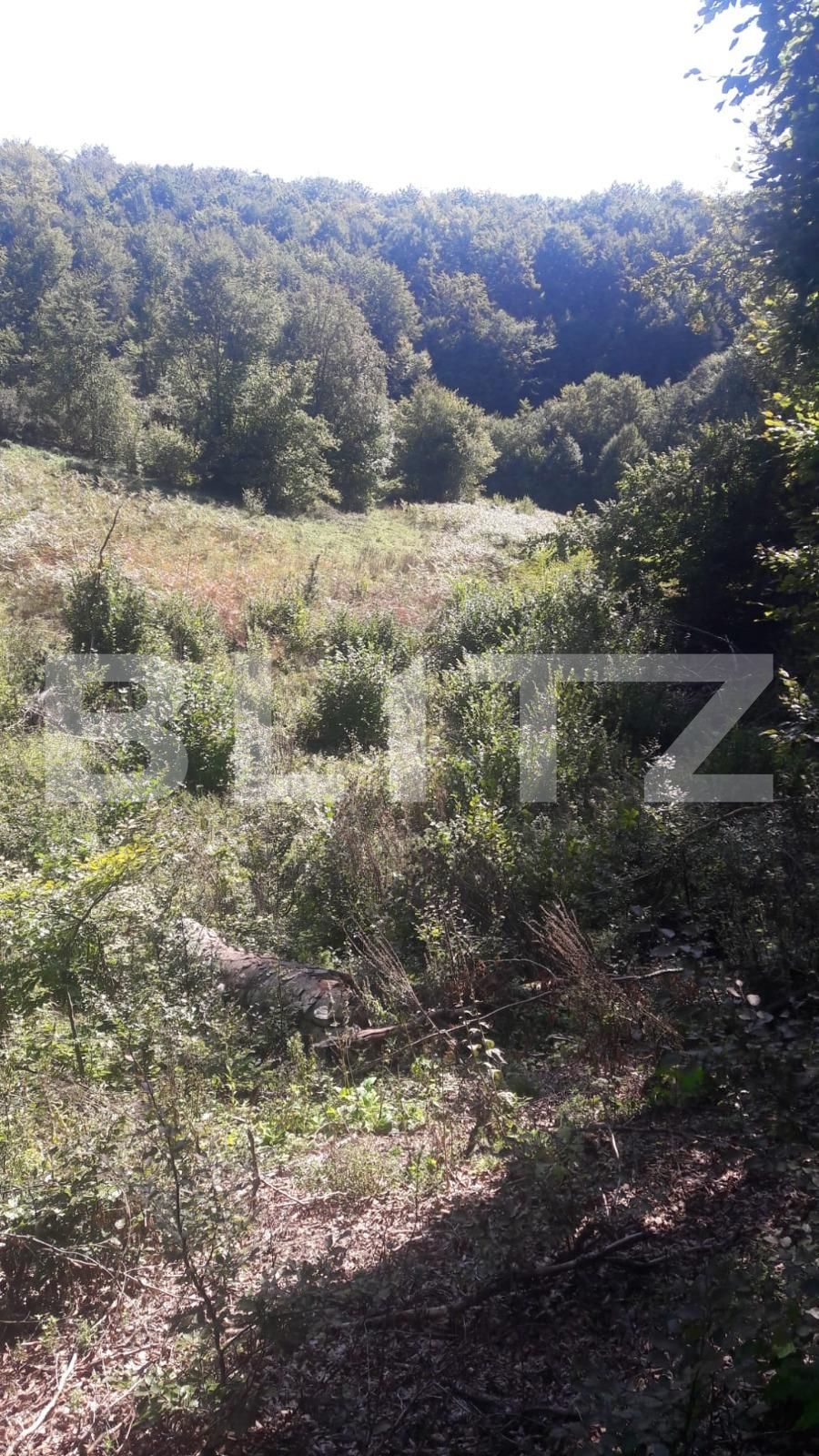 Teren de vânzare Exterior Nord - 107410TV | BLITZ Alba Iulia | Poza5