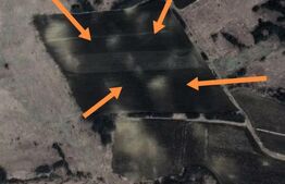 Teren extravilan 8ha zona Santimbru