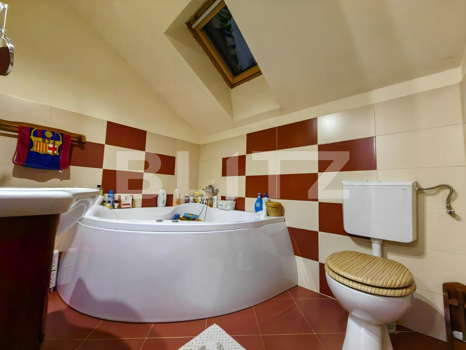 Casa de vânzare 4 camere Micești - 107536CV | BLITZ Alba Iulia | Poza11