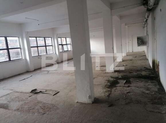 Spațiu industrial de vânzare Exterior Vest - 107541SVI | BLITZ Alba Iulia | Poza12