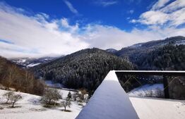 Afacere la cheie in Muntii Apuseni