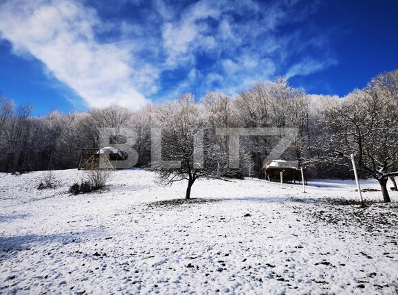 Casa de vânzare 8 camere Exterior Nord - 107699CV | BLITZ Alba Iulia | Poza6