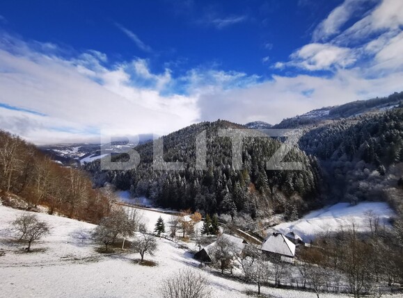 Casa de vânzare 8 camere Exterior Nord - 107699CV | BLITZ Alba Iulia | Poza8