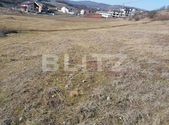 Teren de vânzare Cetate - 108238TV | BLITZ Alba Iulia | Poza3