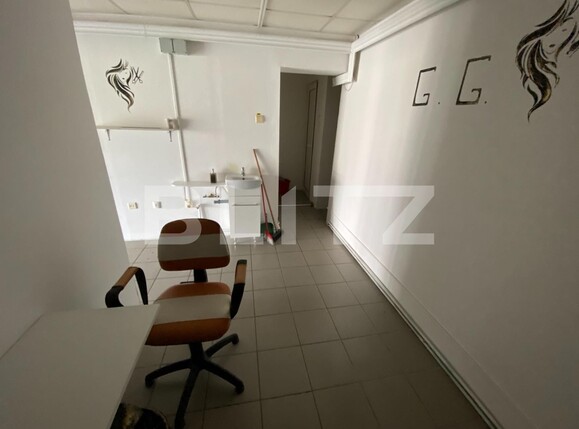 Spațiu comercial de închiriat Tolstoi - 108299SIC | BLITZ Alba Iulia | Poza5