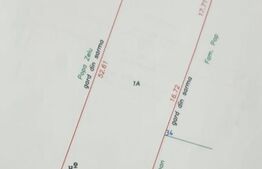 Casa individuala, 3 camere, zona Centrala