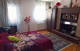 Apartament DE VANZARE,1 camera, bloc nou, Centru