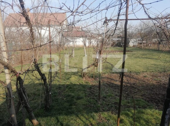 Casa de vânzare 3 camere Micești - 108663CV | BLITZ Alba Iulia | Poza3