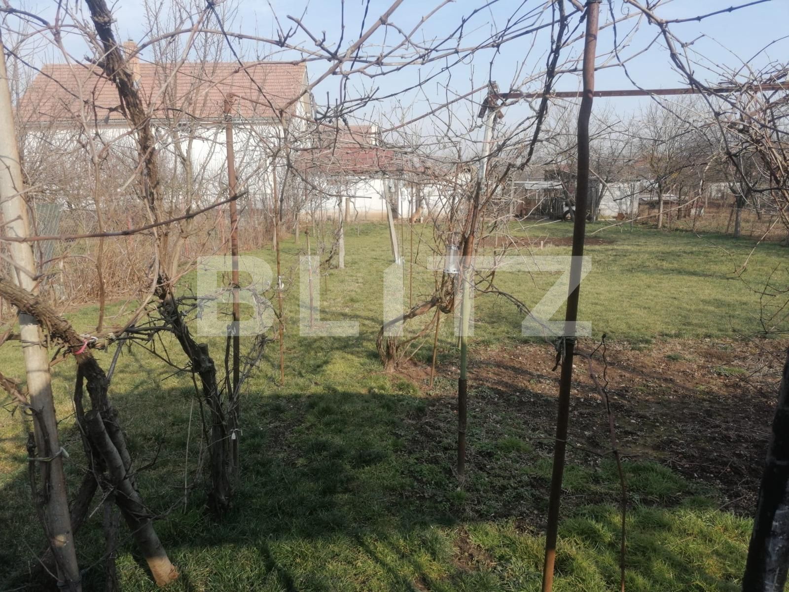 Casa de vânzare 3 camere Micești - 108663CV | BLITZ Alba Iulia | Poza3