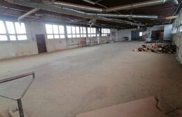 Casa 5 camere plus hala 450 mp in com Pianu de Jos