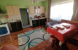 Casa 5 camere plus hala 450 mp in com Pianu de Jos