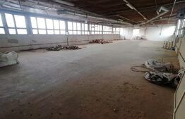 Casa 5 camere plus hala 450 mp in com Pianu de Jos