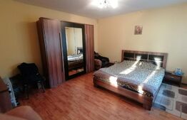 Casa 5 camere plus hala 450 mp in com Pianu de Jos