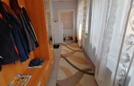 Casa 5 camere plus hala 450 mp in com Pianu de Jos