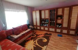 Casa 5 camere plus hala 450 mp in com Pianu de Jos