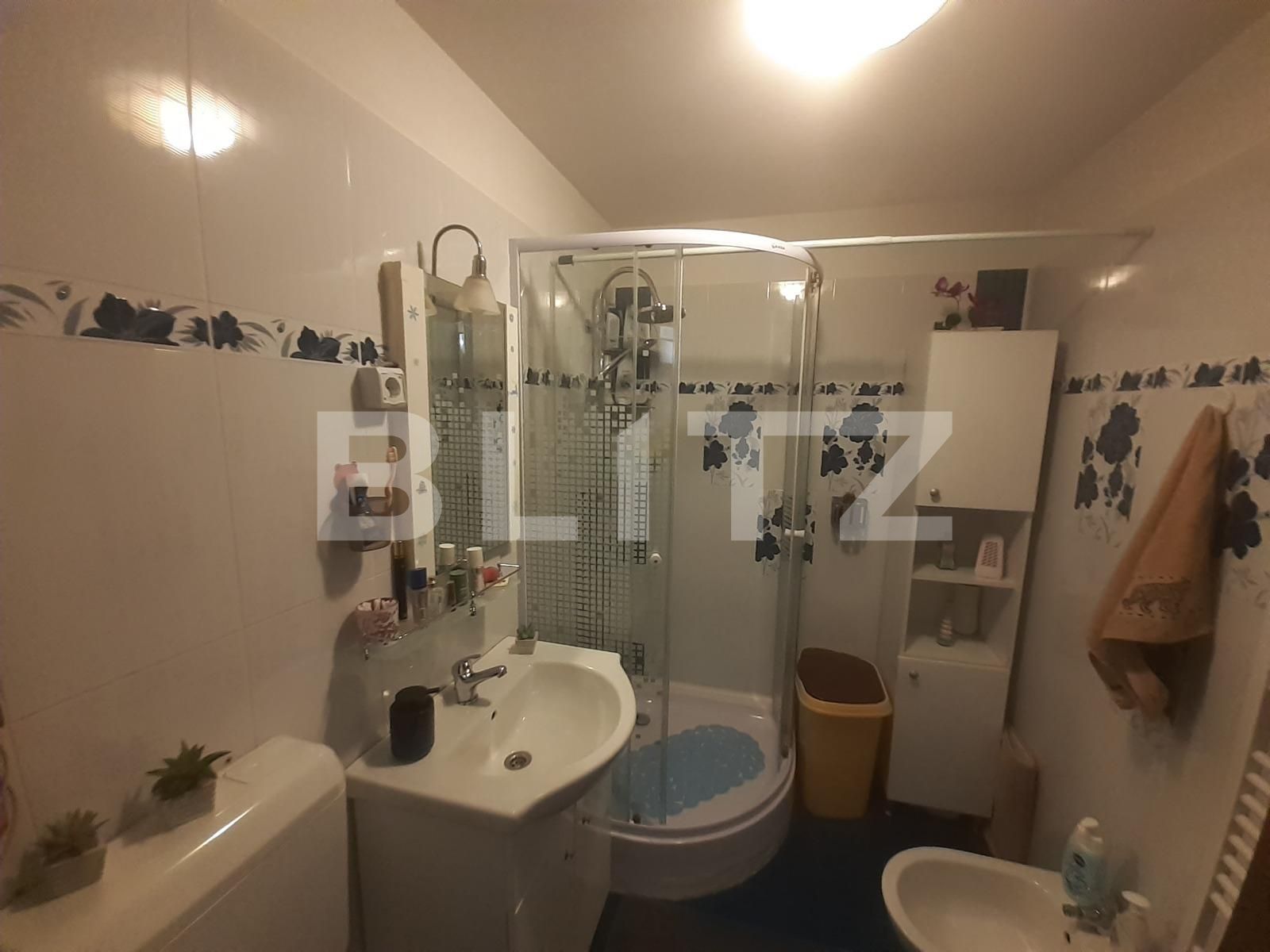 Apartament de vânzare 2 camere Ampoi 3 - 109008AV | BLITZ Alba Iulia | Poza5