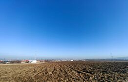 Teren extravilan, 1250mp, zona Kaufland - Sebes