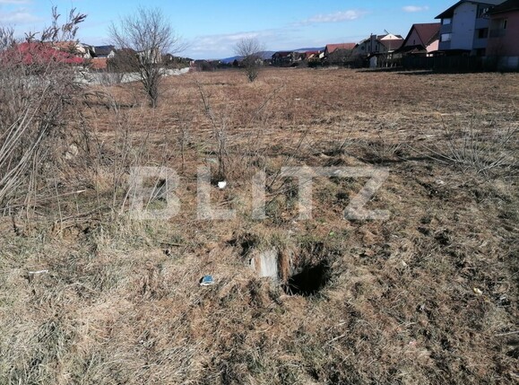 Teren de vânzare Cetate - 109384TV | BLITZ Alba Iulia | Poza1