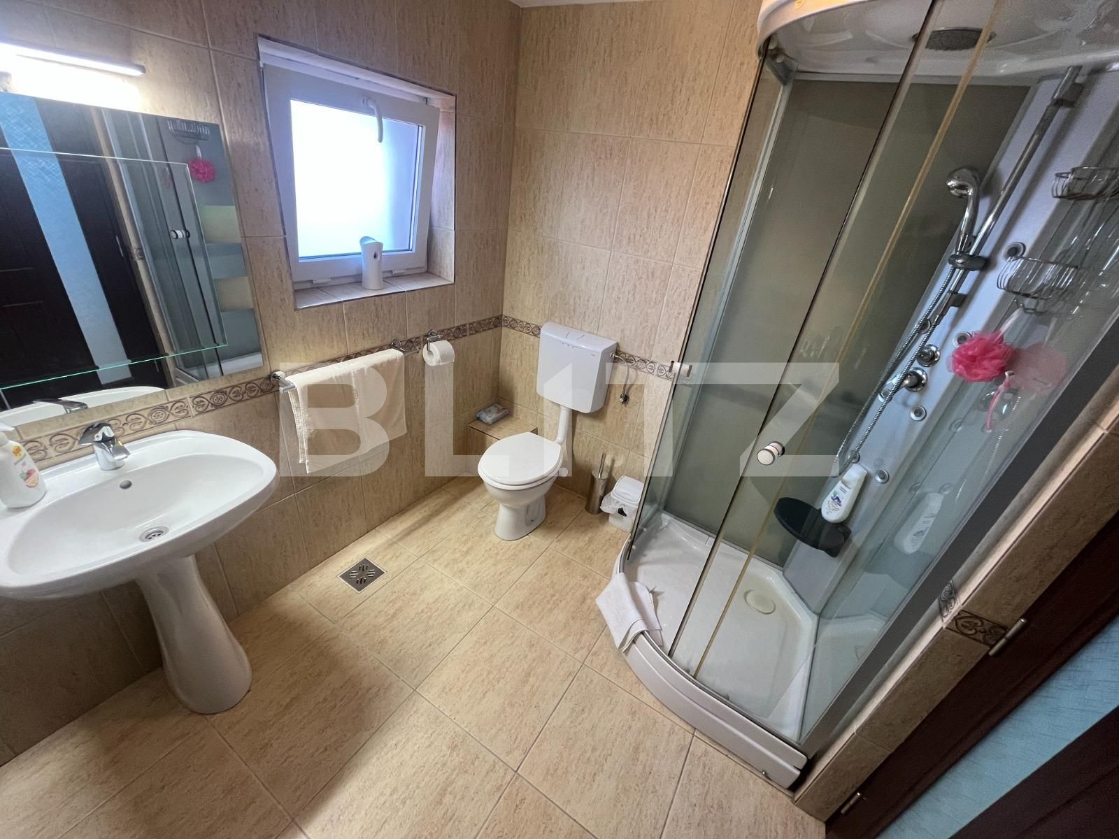 Apartament de vânzare 4+ camere Cetate - 109390AV | BLITZ Alba Iulia | Poza10