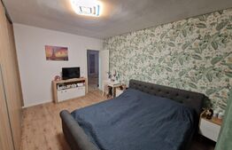 Apartament 2 camere decomandat, bloc nou Cetate