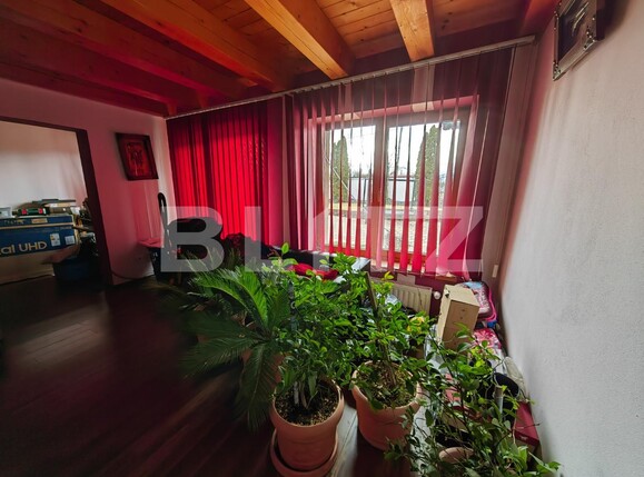 Casa de vânzare 4 camere Sud Est - 109929CV | BLITZ Alba Iulia | Poza10