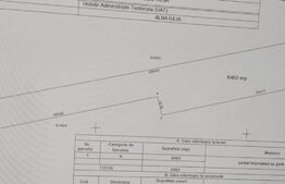 Investitie, teren intravilan ultracentral, 6462 mp, zona Micesti - Penny