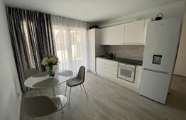 Casa tip dulpex, 80 mp, zona Cetate