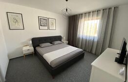 Casa tip dulpex, 80 mp, zona Cetate