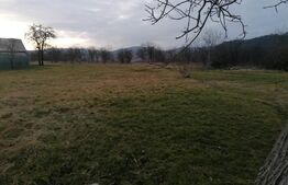 Teren intravilan 3500mp cu toate utilitatile zona Paclisa