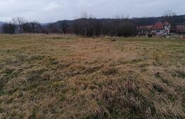 Teren intravilan 3500mp cu toate utilitatile zona Paclisa