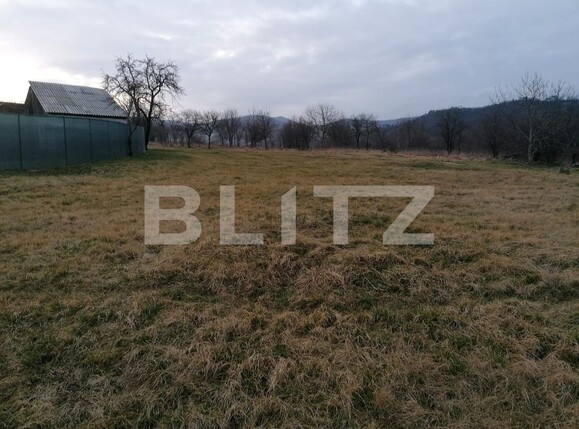 Teren de vânzare Sud-Vest - 110147TV | BLITZ Alba Iulia | Poza1