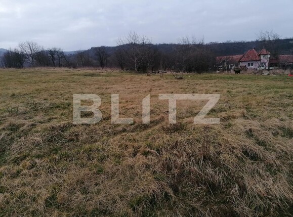 Teren de vânzare Sud-Vest - 110147TV | BLITZ Alba Iulia | Poza2