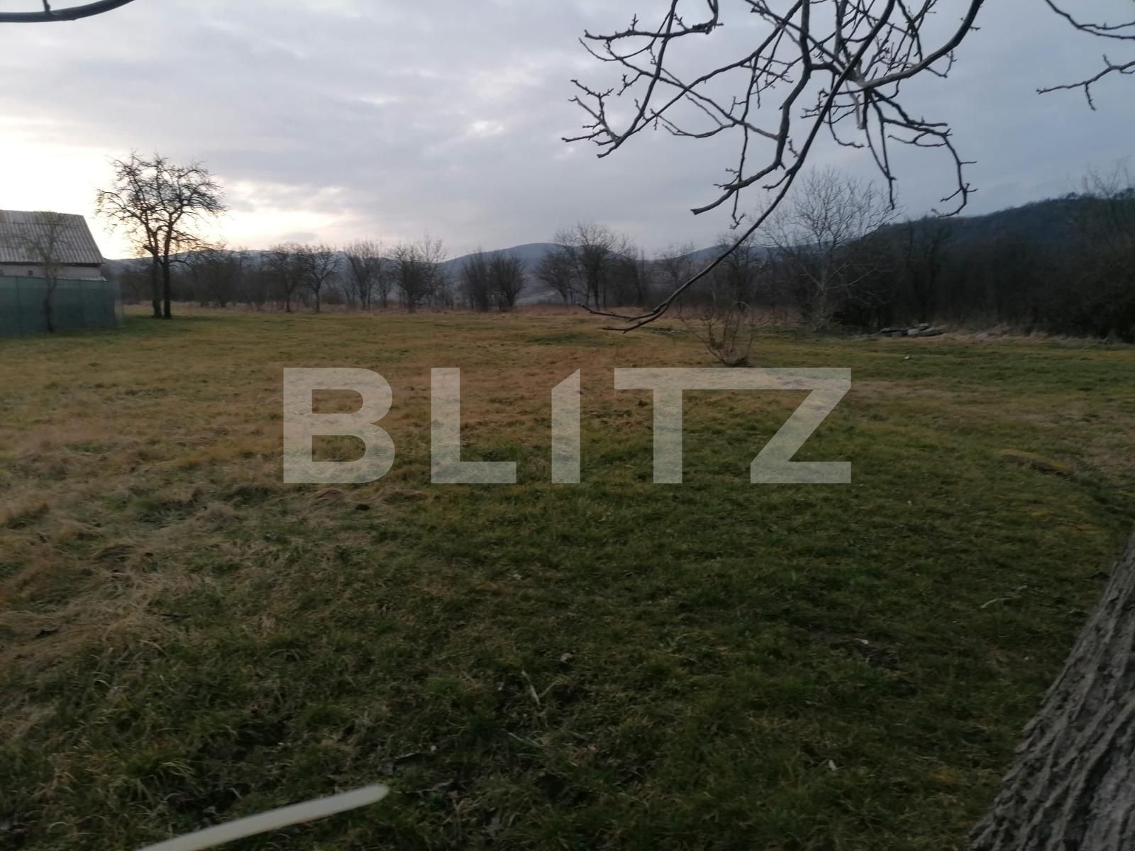 Teren de vânzare Sud-Vest - 110147TV | BLITZ Alba Iulia | Poza3