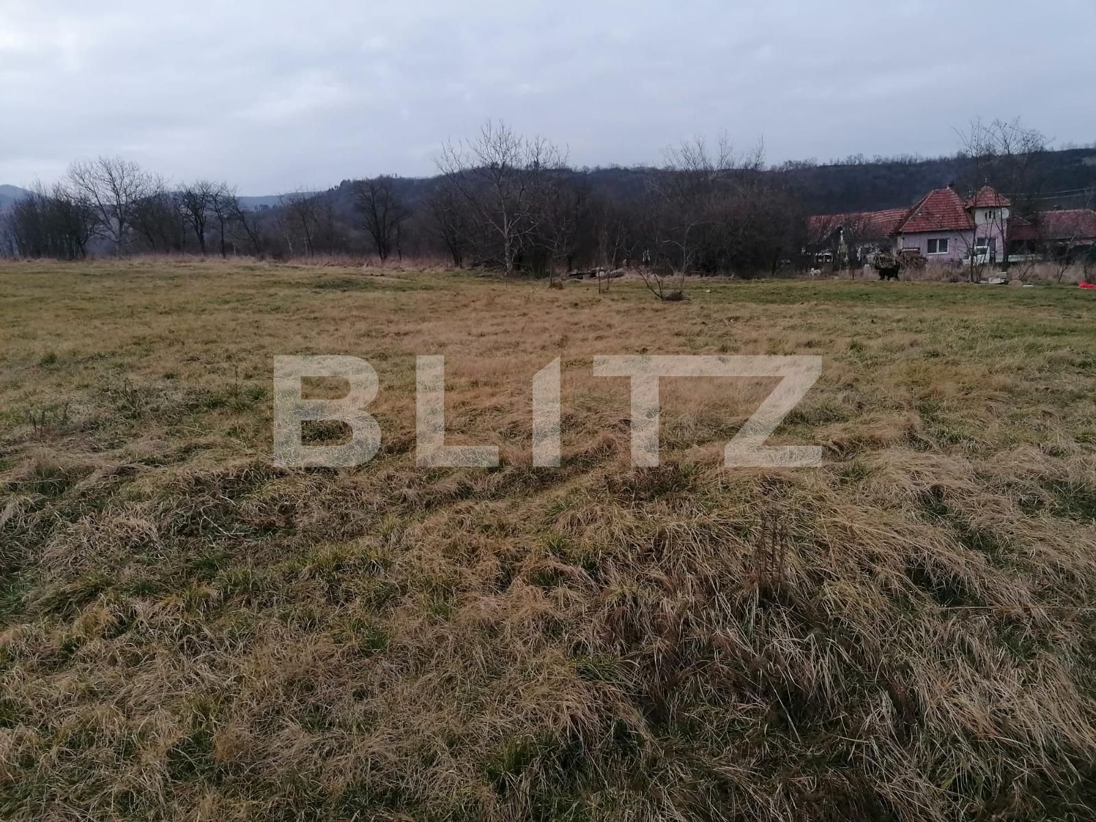 Teren de vânzare Sud-Vest - 110147TV | BLITZ Alba Iulia | Poza2
