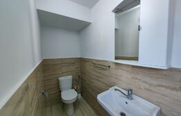 Casă individuală cochetă cu 5 camere, sat Tibru