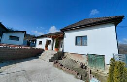 Casă individuală cochetă cu 5 camere, sat Tibru