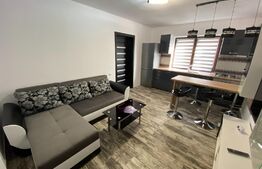 Apartament 2 camere - Zona Cetate