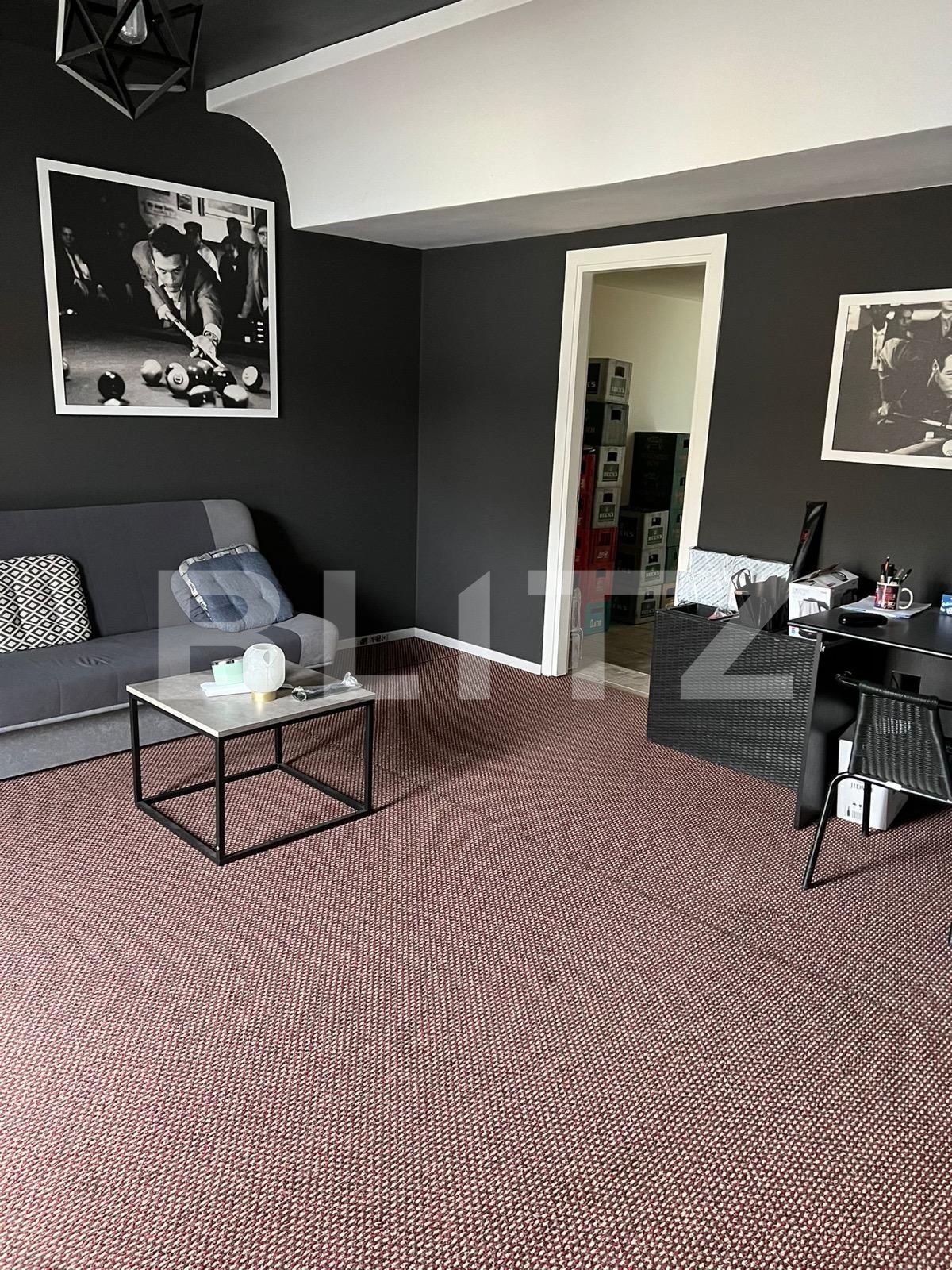 Spațiu comercial de vânzare Cetate - 110263SVC | BLITZ Alba Iulia | Poza10